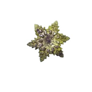 Lemon & Lavender Goat Milk Soap