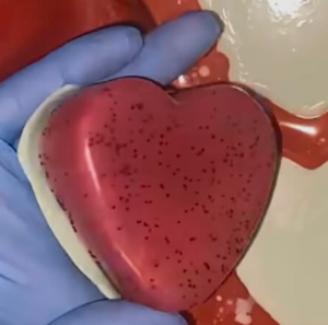 Watermelon Soap 2